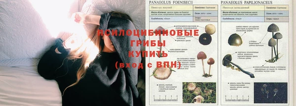 дживик Арсеньев