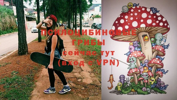 дмт Рославль