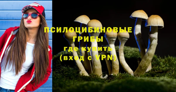 дживик Арсеньев