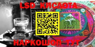 ешки Камышлов
