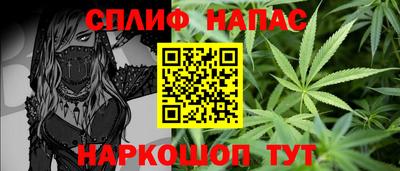 ешки Камышлов