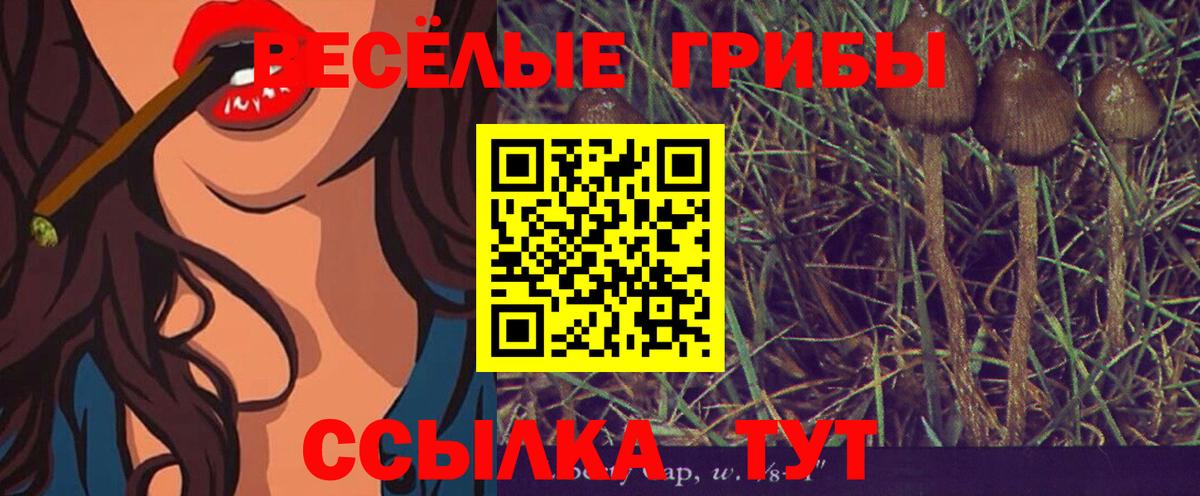 Галлюциногенные грибы Magic Shrooms  Псилоцибиновые грибы MAGIC MUSHROOMS  Саянск  Вход с VPN 